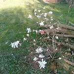 Haus Maria بيت للعطل Fischbach/Rhon