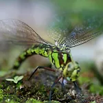 Haus Maria * Fischbach/Rhon