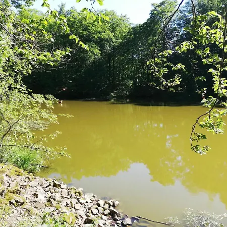 Haus Maria * Fischbach/Rhon