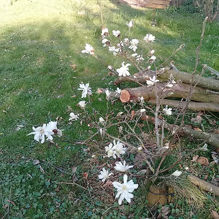 Haus Maria Holiday home Fischbach/Rhon