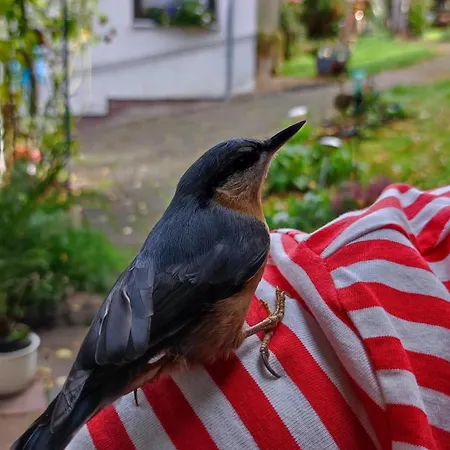 Σπίτι διακοπών Haus Maria