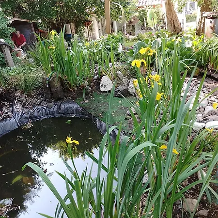 Σπίτι διακοπών Haus Maria *