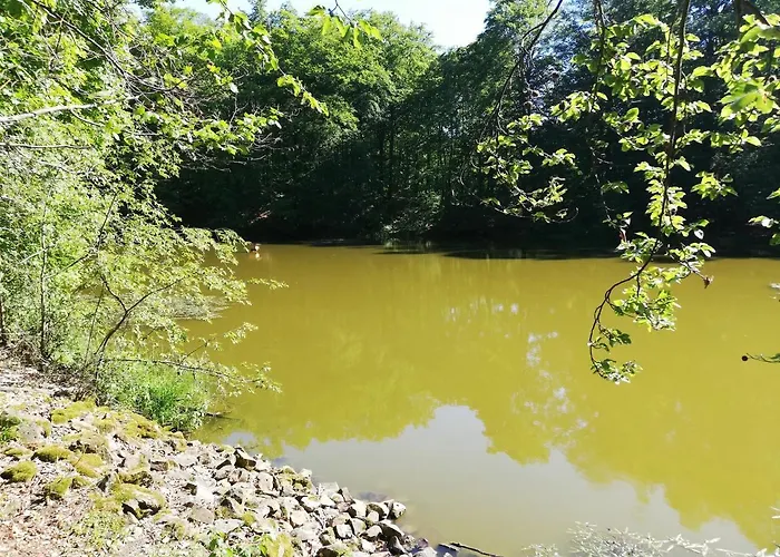 Haus Maria * Fischbach/Rhon