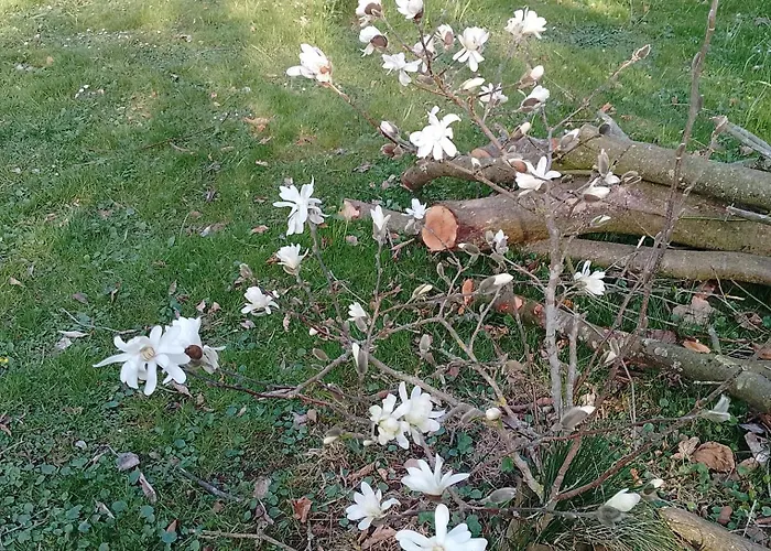 Haus Maria Σπίτι διακοπών Fischbach/Rhon