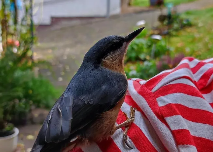 Σπίτι διακοπών Haus Maria