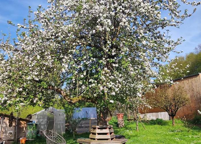 Σπίτι διακοπών Haus Maria Fischbach/Rhon